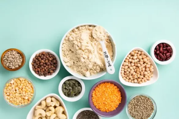 vegetarian Protein Sources
